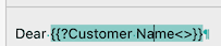 Typinator snippet example on macOS showing a placeholder variable for ‘Customer Name’ — demonstrating how to use input fields in text expansion templates